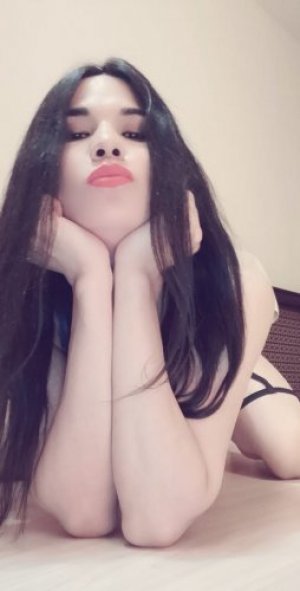 Транссексуалка Андина 